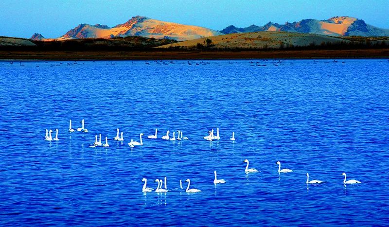 玉龙沙湖和漠北瀚海,漠北瀚海攻略玉龙沙湖