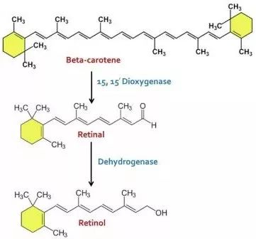 美白为什么这么难,美白不反弹的方法