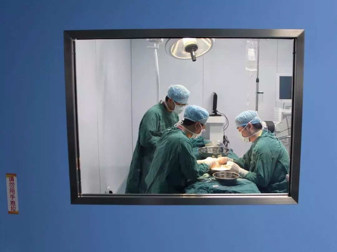 4岁孩子吃下两勺菜,4岁小孩吃下两勺菜