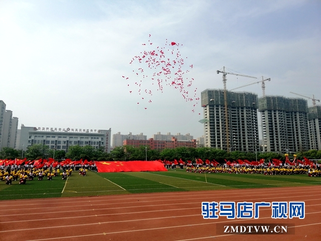 驻马店市市长杯足球赛参赛名单,驻马店第三届市长杯校园足球比赛