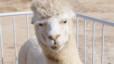 都听我的！这个中秋就去开心休博园！解锁不一样的童趣假期