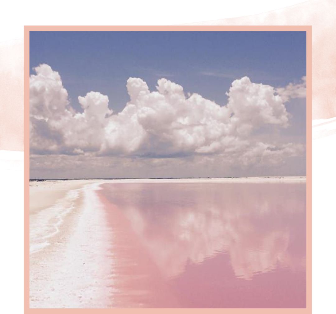 520去哪比较浪漫,520发愁送啥