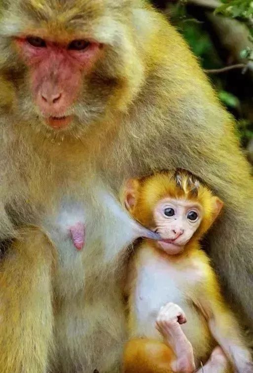 本周末，主播秋雨、大雄带你畅游王屋山、五龙口，只剩10个自驾名额，欲报从速！