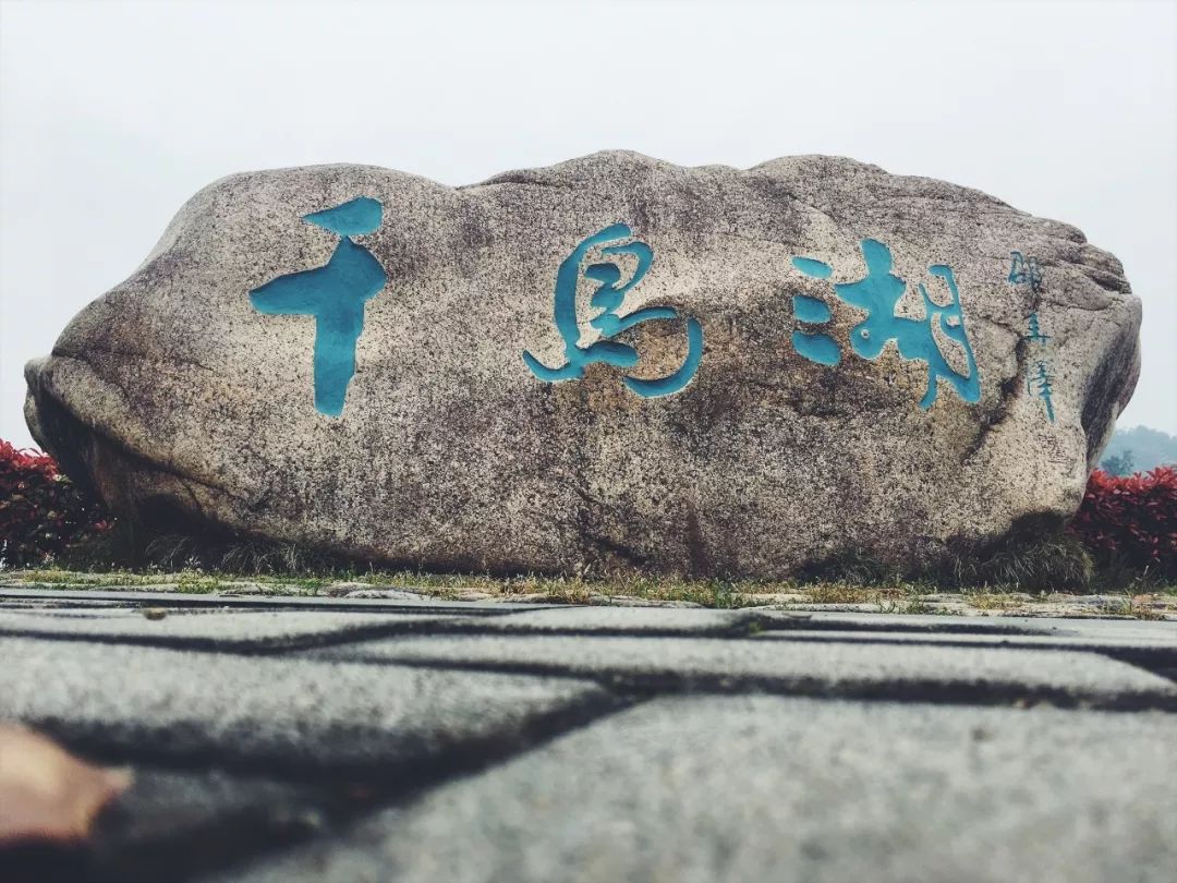 松江景点免费政策有哪些,松江免费旅游景点推荐