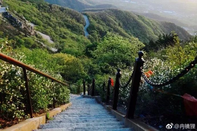 玩转大连森林公园,逛遍大连森林公园