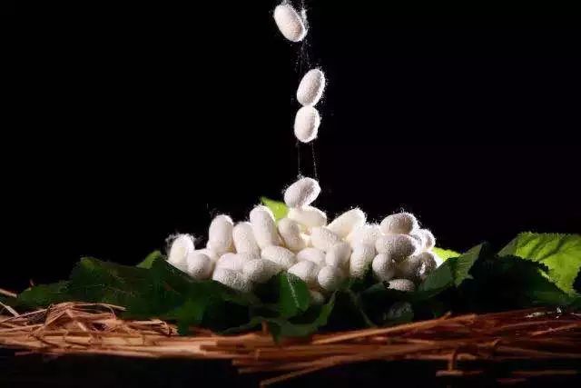 妇科疾病与内裤有关吗,女性经常有妇科病穿牛仔裤好吗