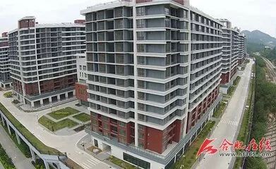 合肥市公租房申请条件最新规定,合肥公租房申请条件和标准