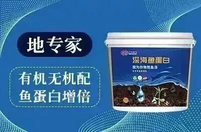 一亩地种植小麦利润大概多少钱,种植水稻一年收入多少钱