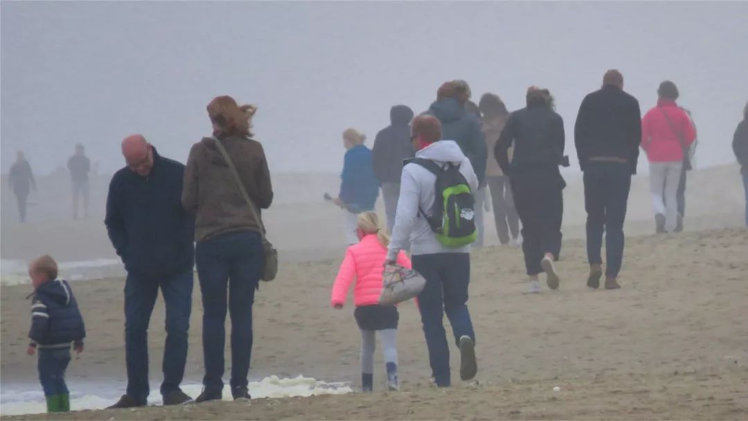 别顾着烧烤，请关注荷兰的气候变化，会出现南欧那样的气候吗？