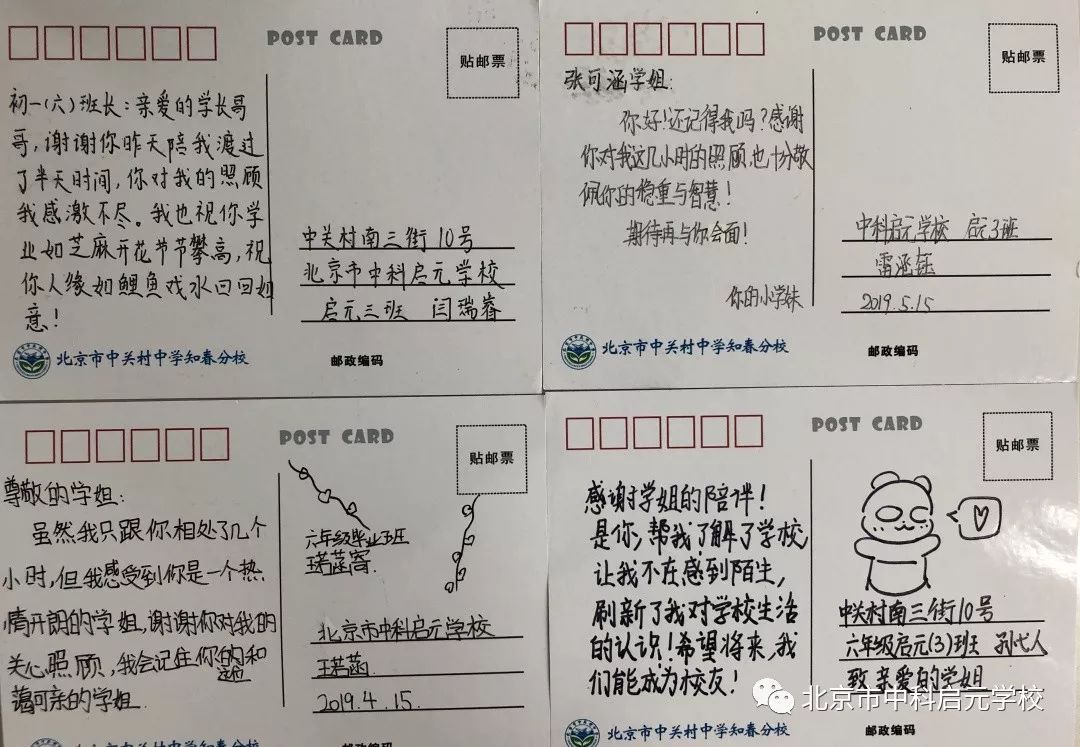 小初衔接学校活动,小初衔接