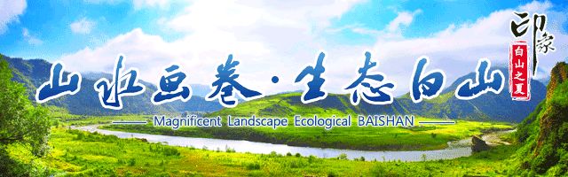 吉林省特岗教师招聘公告,2023年吉林特岗教师招聘