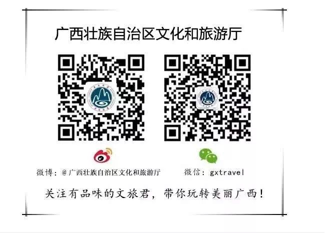 广西今日头条地址,广西有哪些头条自媒体