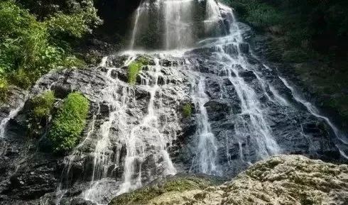 南平除了武夷山还有哪些景点,福建南平市武夷山风景区游记