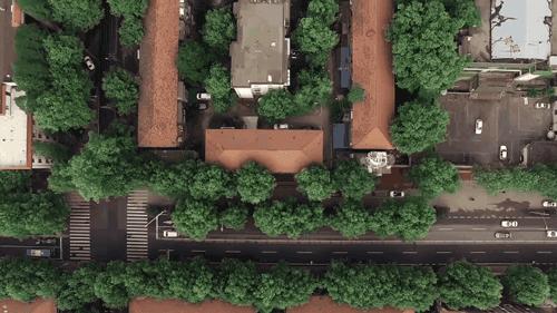 天呐!武汉这个区开挂了!反正我是羡慕了!