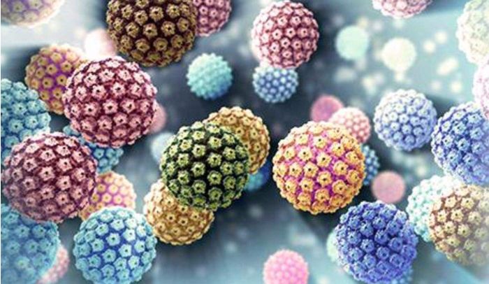 HPV病毒“认罪书”：宫颈癌头号元凶，80%以上女性一生中会被感染