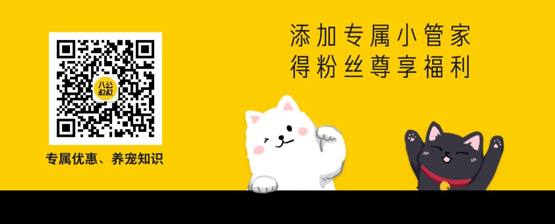 上海八公叔叔宠物服务有限公司,八公叔叔宠物美容连锁广州