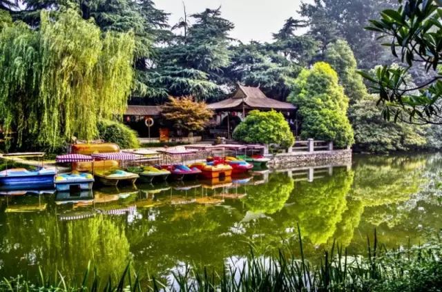 这个夏天必做的事,这个夏天必须要做的事情