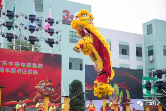 街道龙舟赛视频,龙舟嘉年华集市