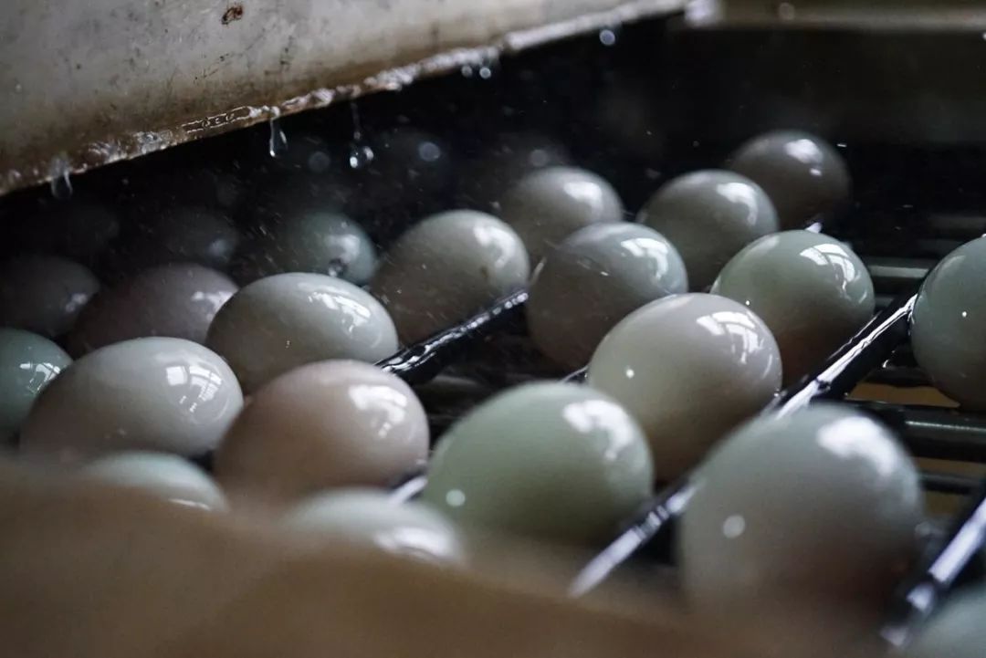 五月种草季,五月种草