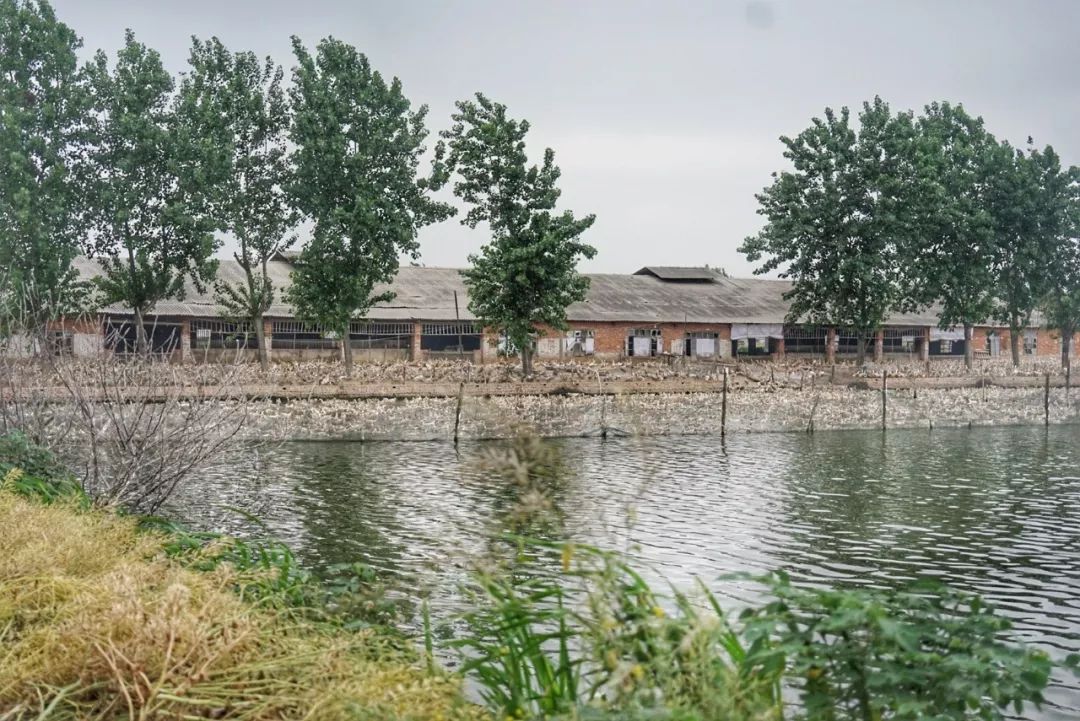 五月种草季,五月种草的护肤品