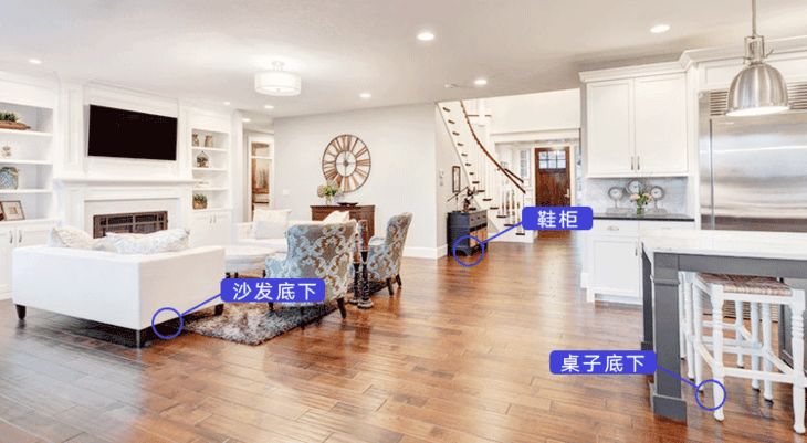 屋里放一点东西可以驱蚊子,家里放什么蚊子跑光光