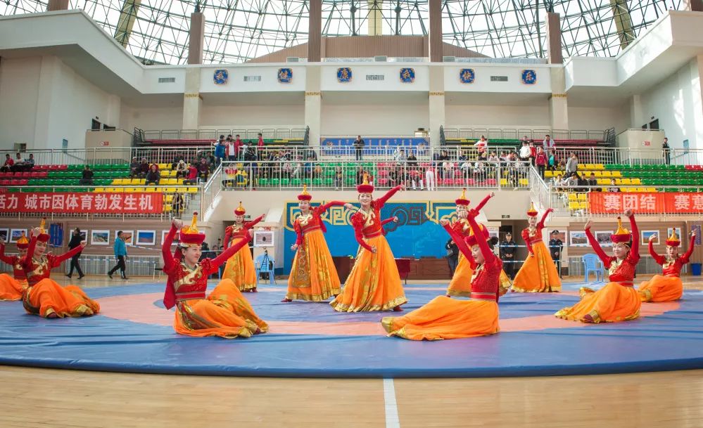 甘肃省国际摔跤锦标赛,甘肃省青少年国际式摔跤锦标赛