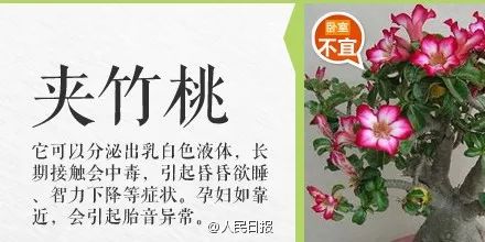 女子在家中毒成功案例,碰一下就中毒是怎么回事