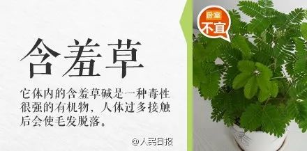 台州人注意！碰了一下就中毒，严重者可致命！这个毒物很多人家里有