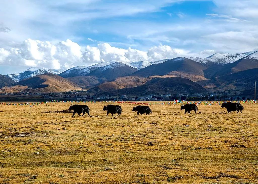 中国最美十大县域排名,2019中国最美县域排名榜