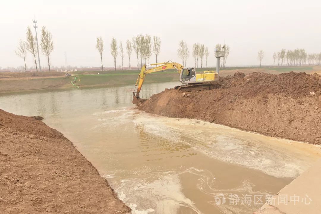 静海区绿化工程,高质量推进生态绿化建设