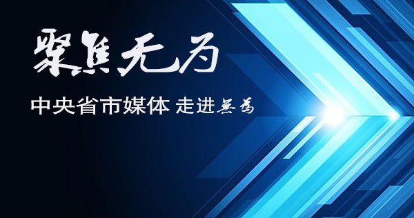 外媒看无为|科技成就品牌，创新展现实力——一个农业大县的创新实践路：小羽毛带动大产业