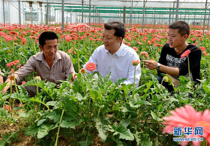 图文故事丨他们，习*平近**在指示批示中高度评价