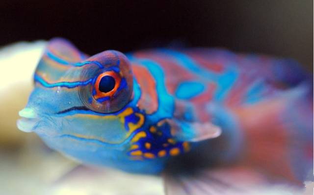 鉴定完毕就是好人吗,鉴定完毕就是亲生的没错了