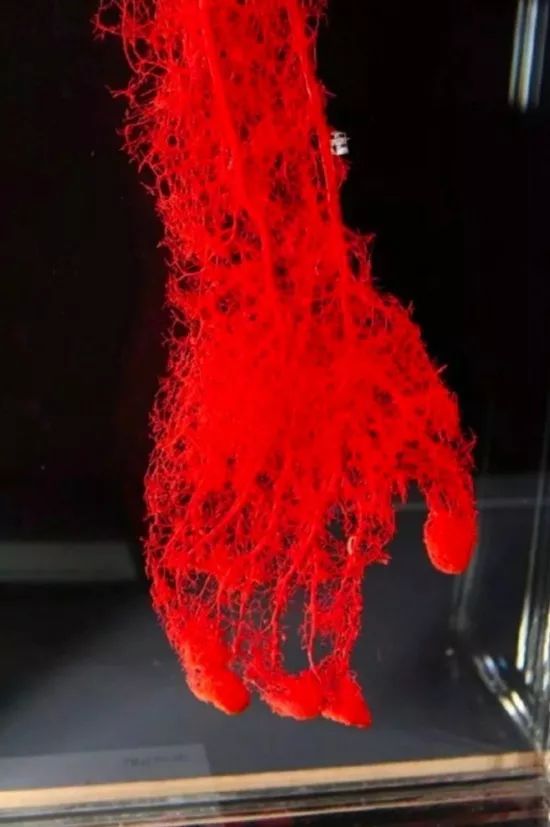 冷知识合集视频,冷知识合集超长