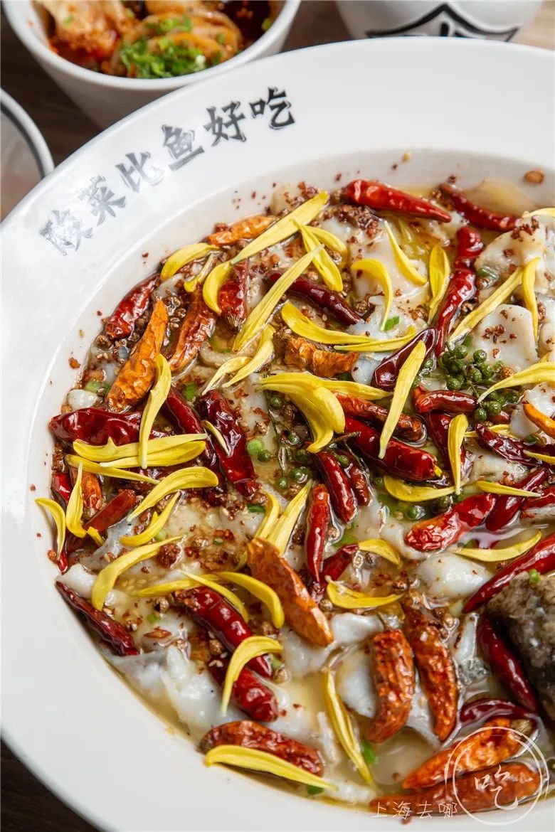 浦东新地标480米,上海浦东逛吃一条街