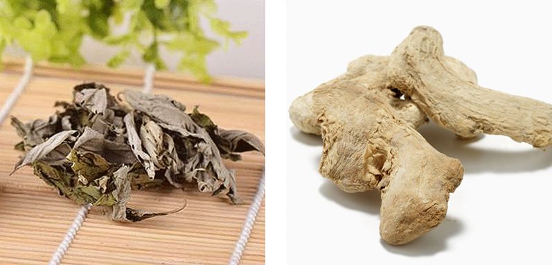 全网黑转粉，看曾经土肥圆如何逆袭碾压一种超模