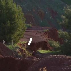 意大利为什么是设计之都,意大利为什么那么艺术