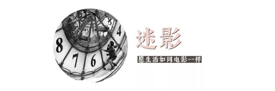 法鲨和一美是一对吗,一美和法鲨