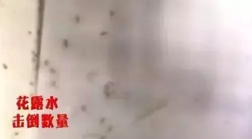 一到夏天，日本1亿家庭都离不开它们！