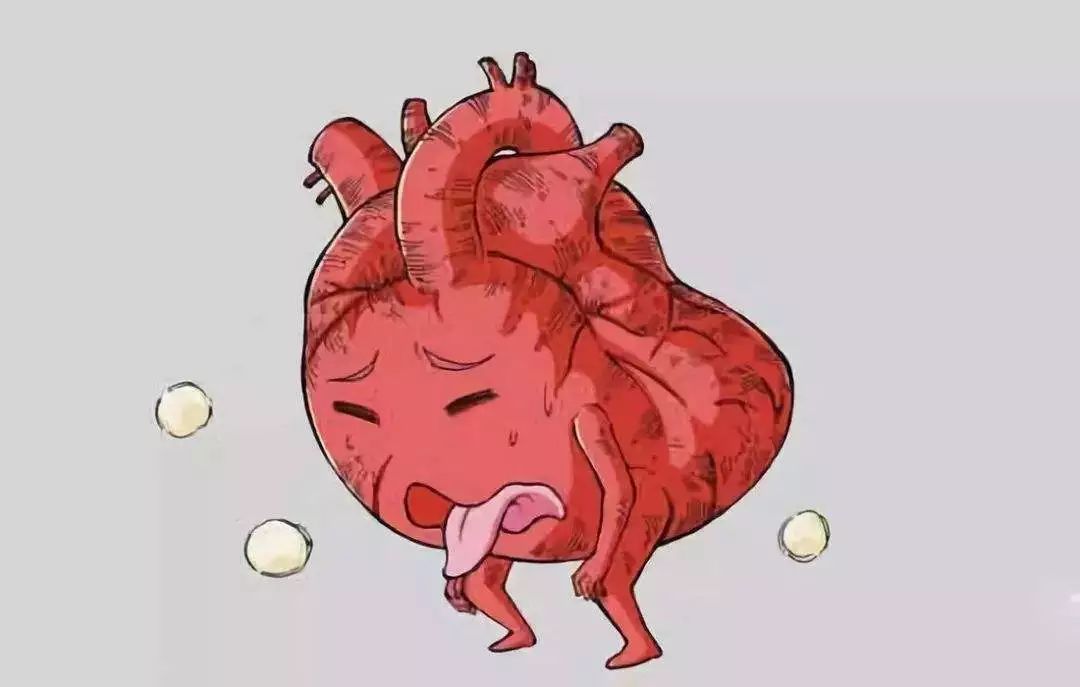 肾坏了，心还能好吗？