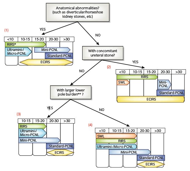 泌尿系结石治疗指南,泌尿系结石指南2019