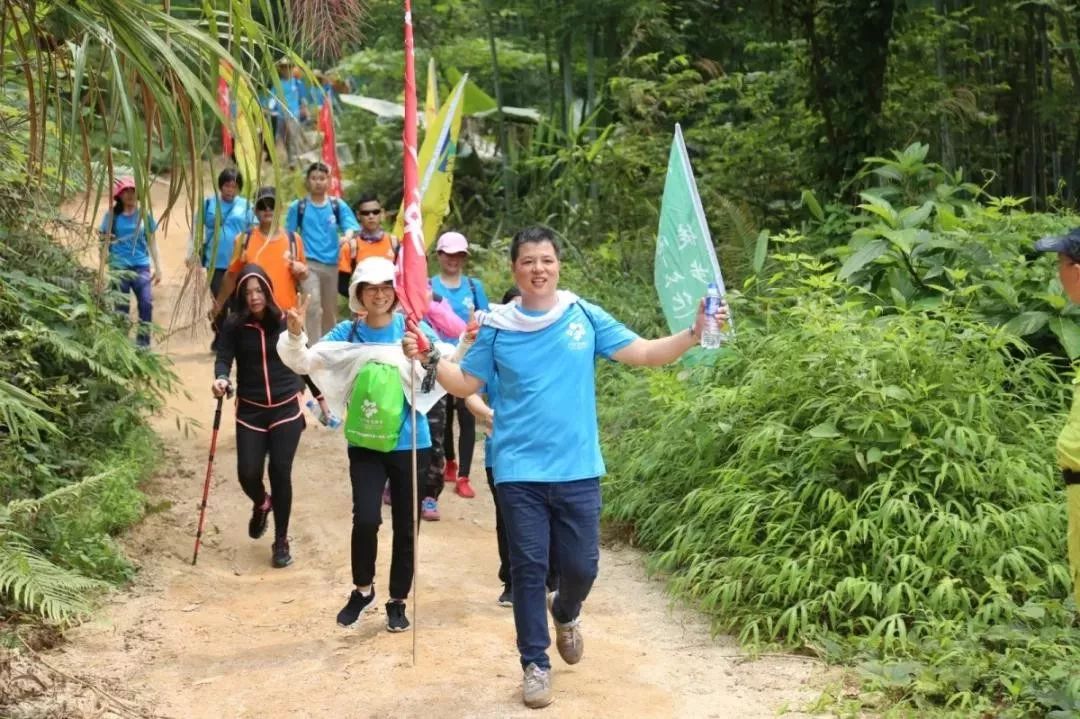 体彩公益金,体彩公益金活动方案