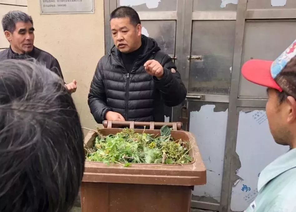 小区整洁的环境让人心情愉悦,小区环境真好看图片