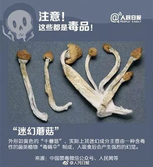 警惕这些食品有毒,警惕这种糖果千万别碰都是伪装