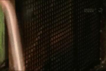 锁怎么一提就锁上呢,锁怎么弄才能从里面反锁不了