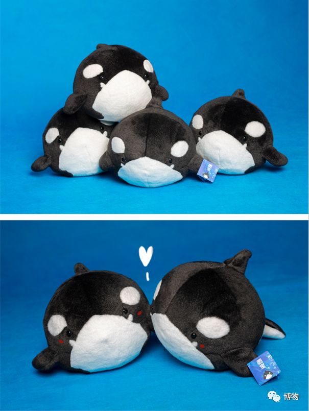 “圆宝”那么可爱，怎么能不盘它呢！