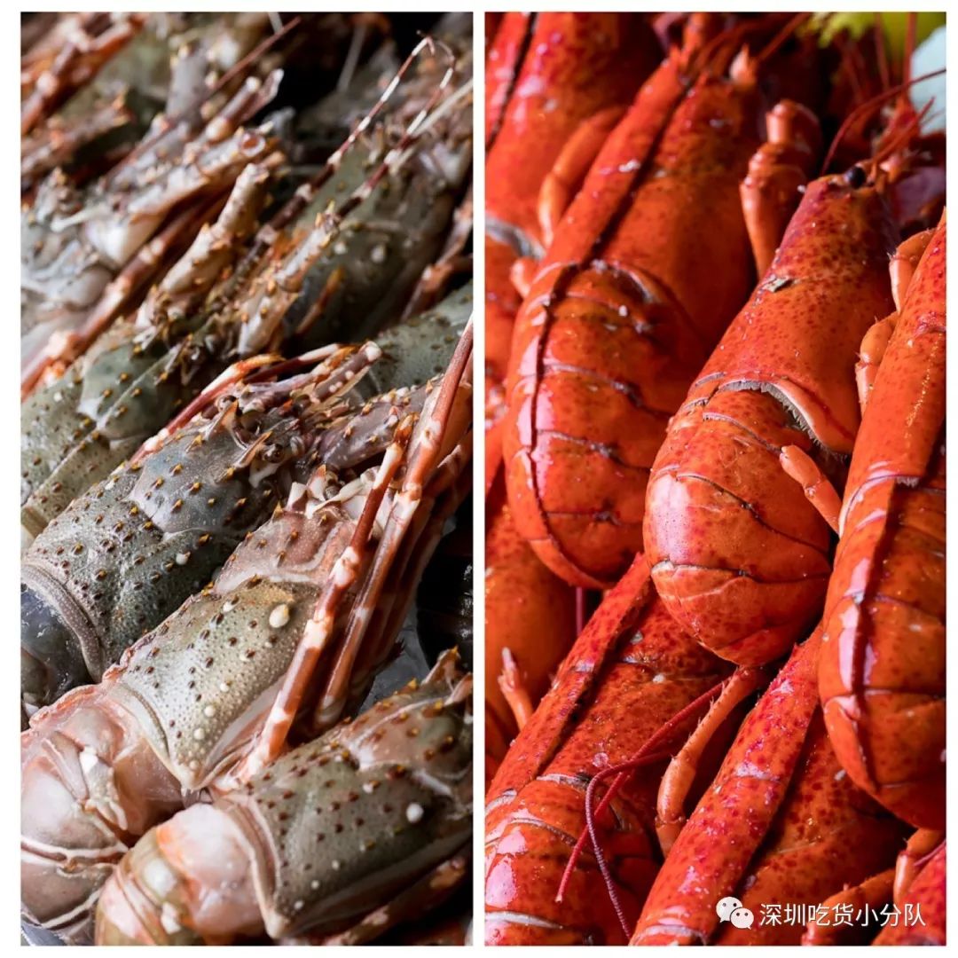 深圳香格里拉自助午餐礼券,深圳香格里拉自助双人特惠199