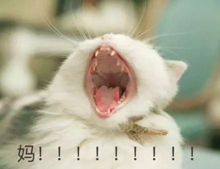 八岁女儿身体发出恶臭,八岁女儿发出恶臭