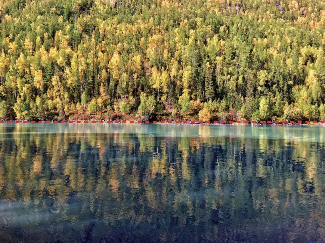 手机拍照构图方法和技巧,手机拍风景构图技巧