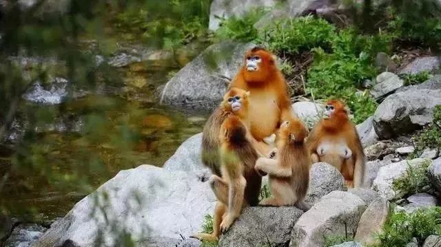 陕西2018年被评全国最美十二个县,陕西最美县域